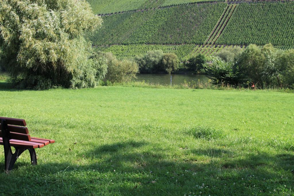 B&B Zum Treppchen Lösnich Kültér fotó