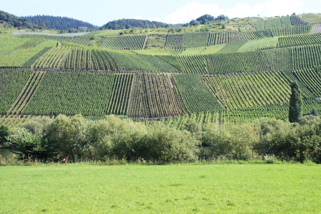 B&B Zum Treppchen Lösnich Kültér fotó